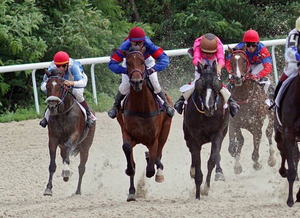 Horse Racing Betting Odds Singapore 
